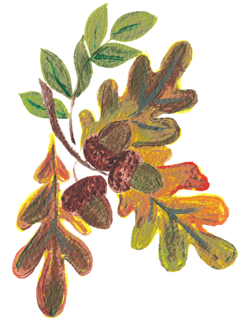 autumn-motif-acorn-leaves-7499653