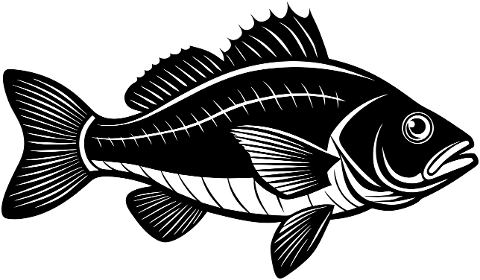 snapper-fish-animal-aquatic-marine-8853408
