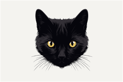 feline-black-cat-domestic-cat-8196201