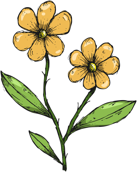 flowers-yellow-flowers-drawing-6770697