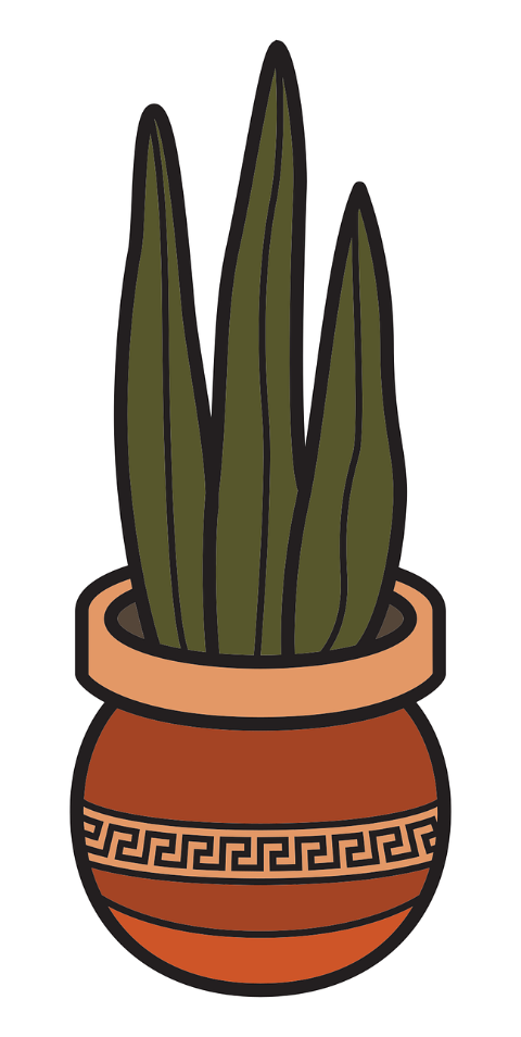plant-tall-green-home-decor-9440694