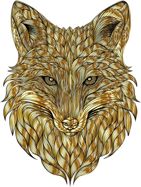 fox-animal-head-face-canine-9503634