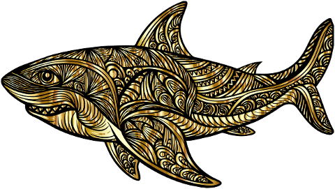 shark-animal-predator-aquatic-8853358