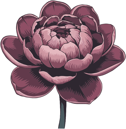 ai-generated-flower-petals-floral-9584675