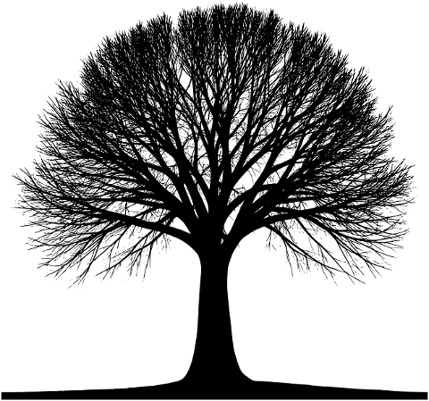 tree-bare-winter-twigs-isolated-9292969