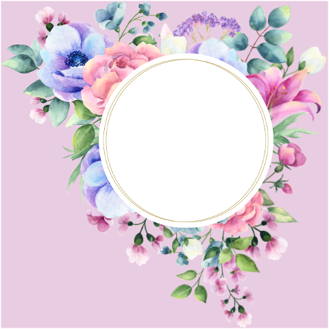 frame-border-flowers-6572249