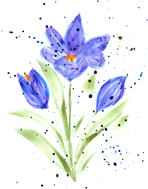 crocus-tulip-spring-watercolor-6112893