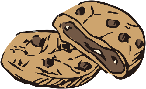 cookies-chocolate-chip-cookies-7106888