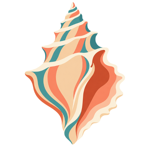shell-colorful-shell-seashell-10499678