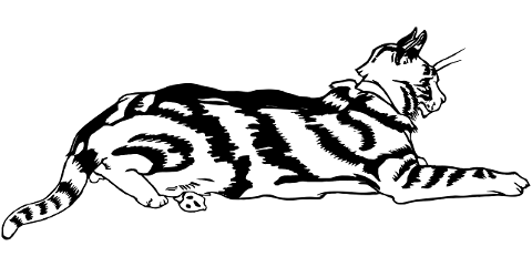 cat-animal-pet-feline-line-art-7443692