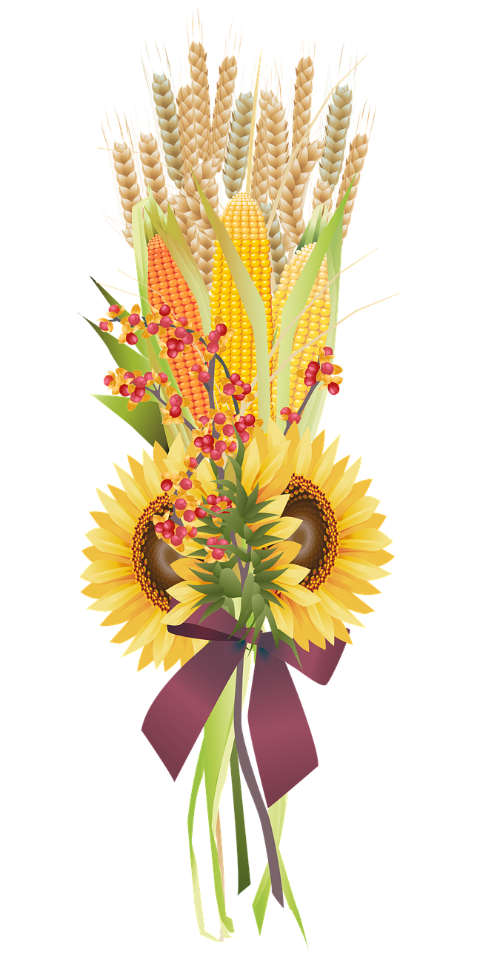 bouquet-decoration-floral-decoration-6656984
