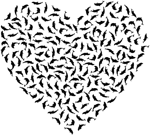 dolphins-heart-love-animal-marine-8447967