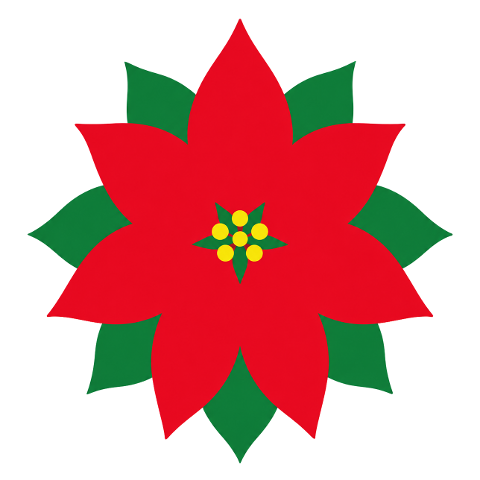 poinsettia-red-flower-green-leaves-10370832
