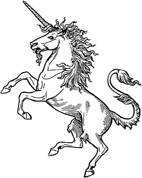 unicorn-horse-animal-fantasy-myth-8095364