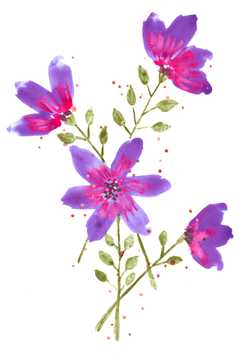 watercolor-purple-flowers-anemone-6173784