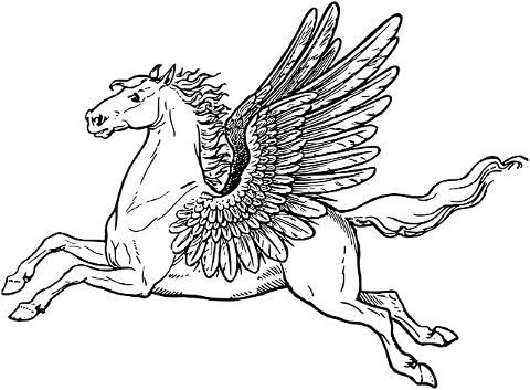 pegasus-horse-wings-animal-8095362