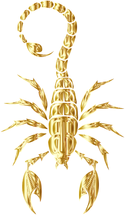 scorpion-arachnid-animal-predator-8057165