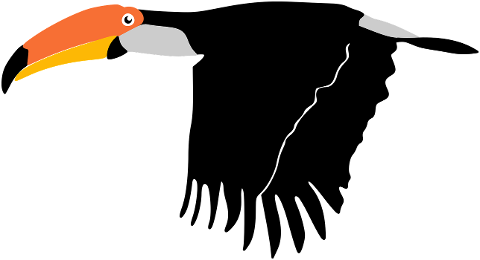 toucan-bird-animal-wildlife-7175774