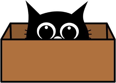 kitten-cat-box-games-feline-8613387