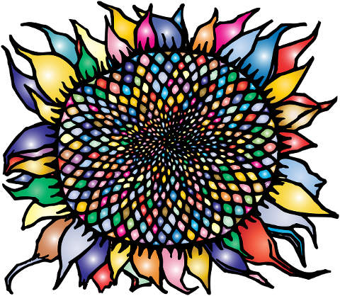 sunflower-flower-plant-line-art-7485600
