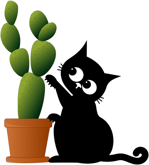 animal-cat-kitten-black-cat-cactus-8650655