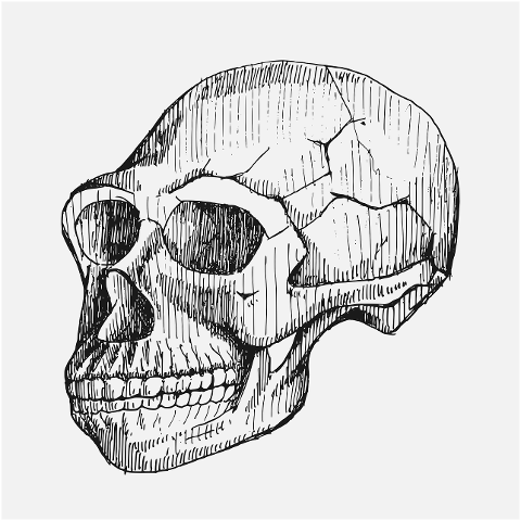 sketch-draw-drawing-doodle-pen-9926566