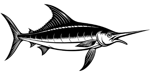 marlin-fish-animal-aquatic-marine-8853359