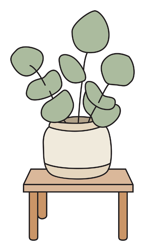 pot-plant-vase-home-decor-indoor-9440695