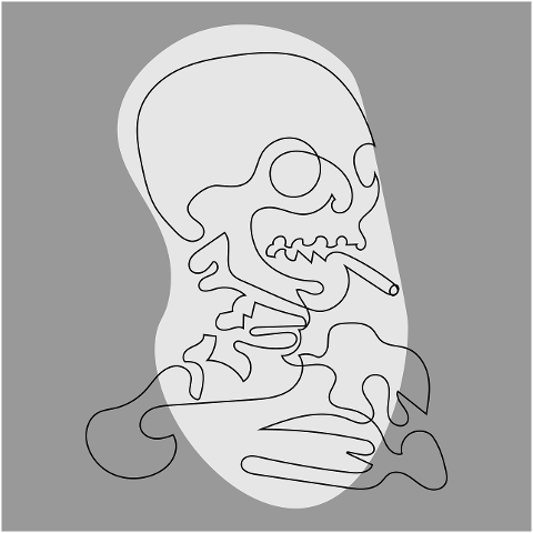 art-skull-of-a-skeleton-line-drawing-7101288