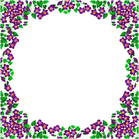 violet-violets-purple-flower-6185995