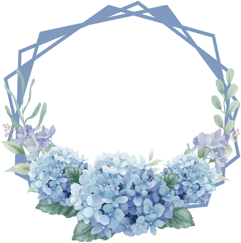 flowers-frame-floral-frame-border-6616088