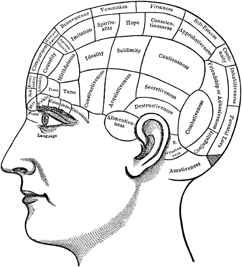 physiognomy-phrenology-head-man-7686113
