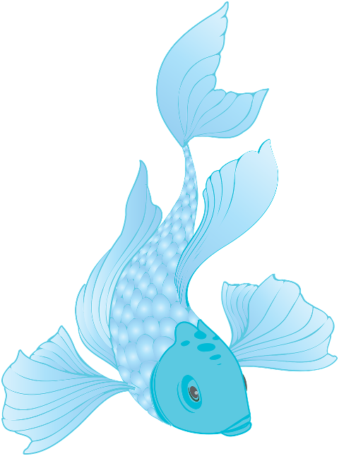 fish-blue-fin-scales-bright-7201466