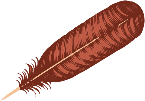 turkey-feather-feather-plumage-7448315