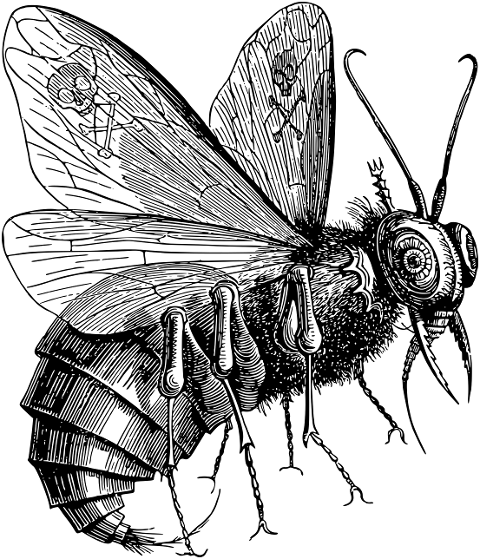 beelzebub-fly-insect-devil-satan-7393934