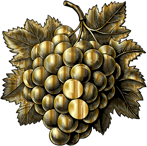 grapes-fruit-plant-food-nature-9556858