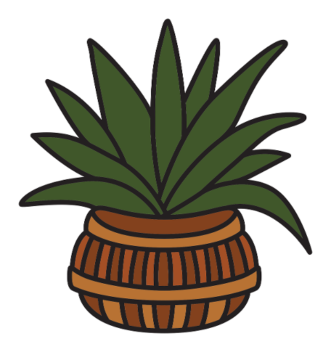 aloe-vera-plant-green-nature-9440707