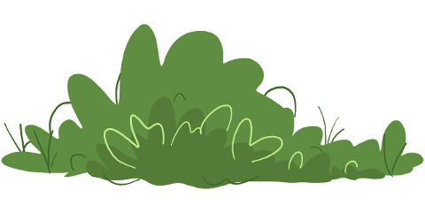 bush-green-plant-drawing-garden-9746650