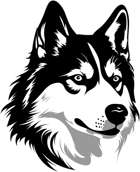husky-dog-alaskan-portrait-8292336