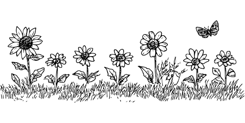 flowers-sunflowers-grass-meadow-10028219