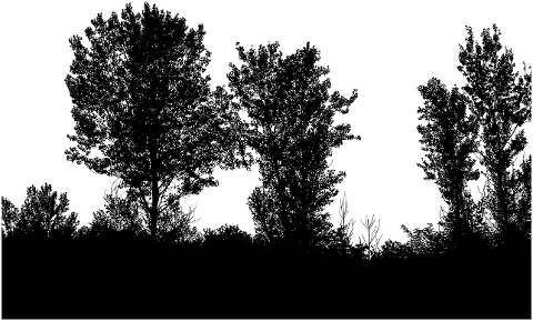 trees-silhouette-forest-landscape-6810503