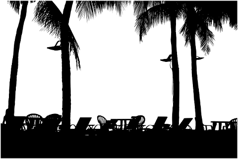 palm-trees-al-fresco-silhouette-6471793