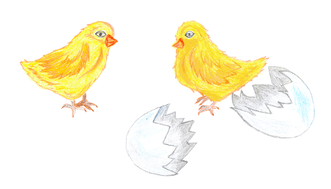 chicken-pup-egg-birth-yellow-7693070