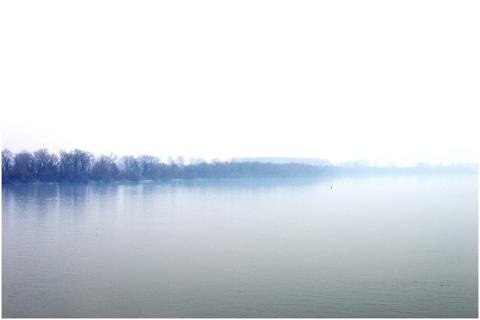 river-forest-fog-sky-nature-4801072