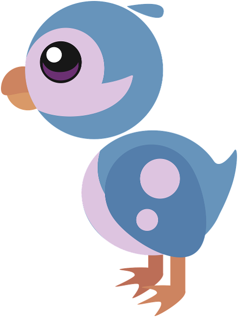 bird-animal-cute-cartoon-nature-10307056