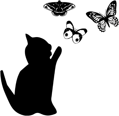 cat-and-butterflies-cat-silhouette-4260164