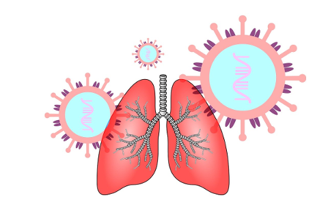 coronavirus-sars-cov-2-lung-4844592