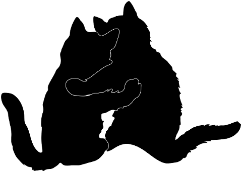 cat-hugging-silhouette-cute-love-4195210