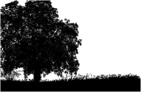 tree-silhouette-landscape-trees-4133369