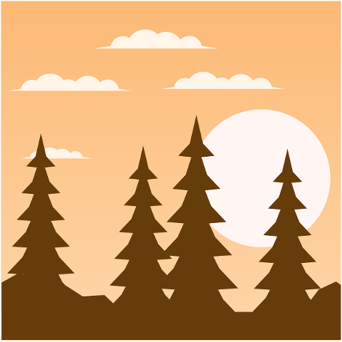 sunset-forest-silhouette-pine-fir-6230887